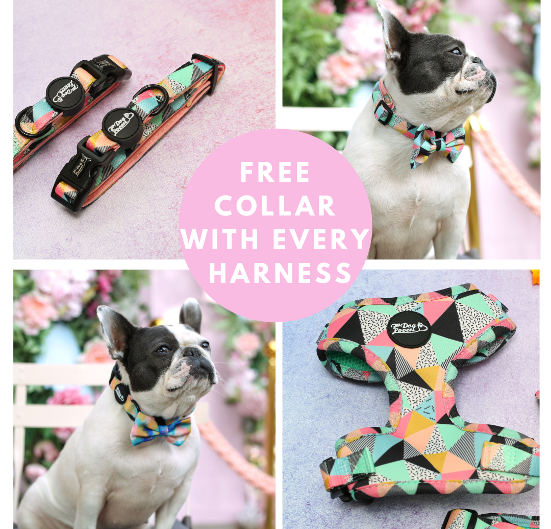 GET FREE COLLAR WITH EVERY HARNESS