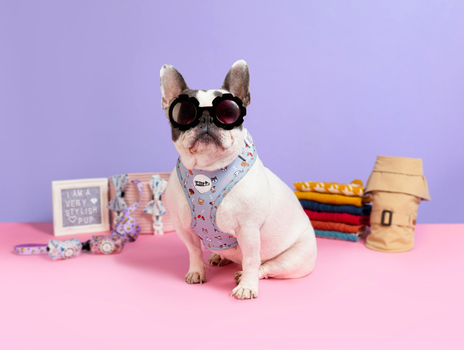 The Ultimate Guide to Choosing the Best Dog Harness (2025 Edition)