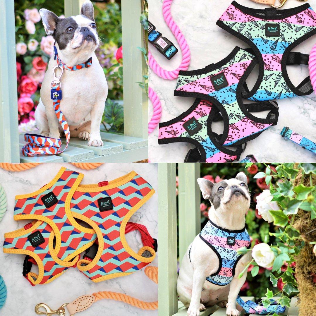 Sale-For Dog Lovers