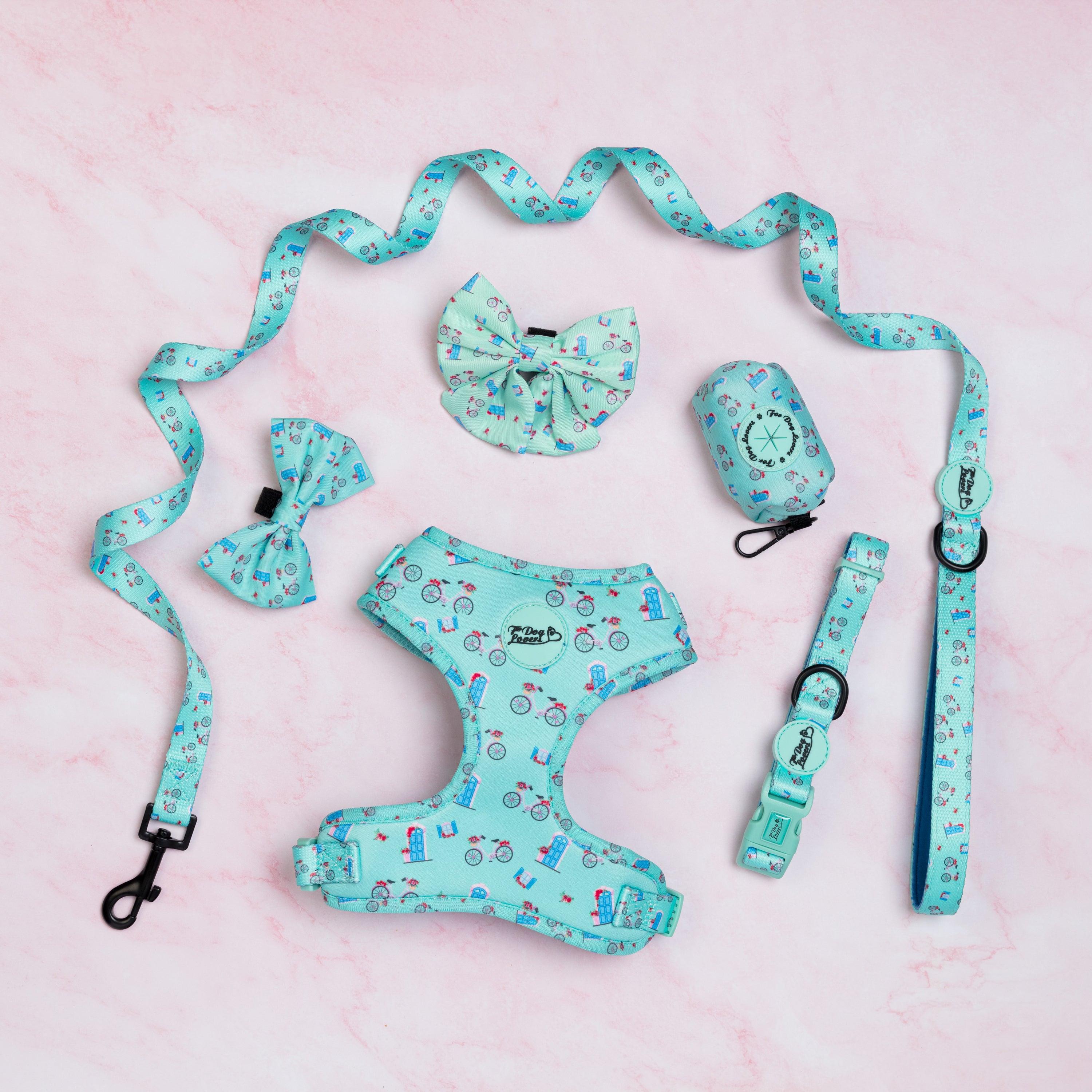 Take Me To Dreamland Collection-For Dog Lovers