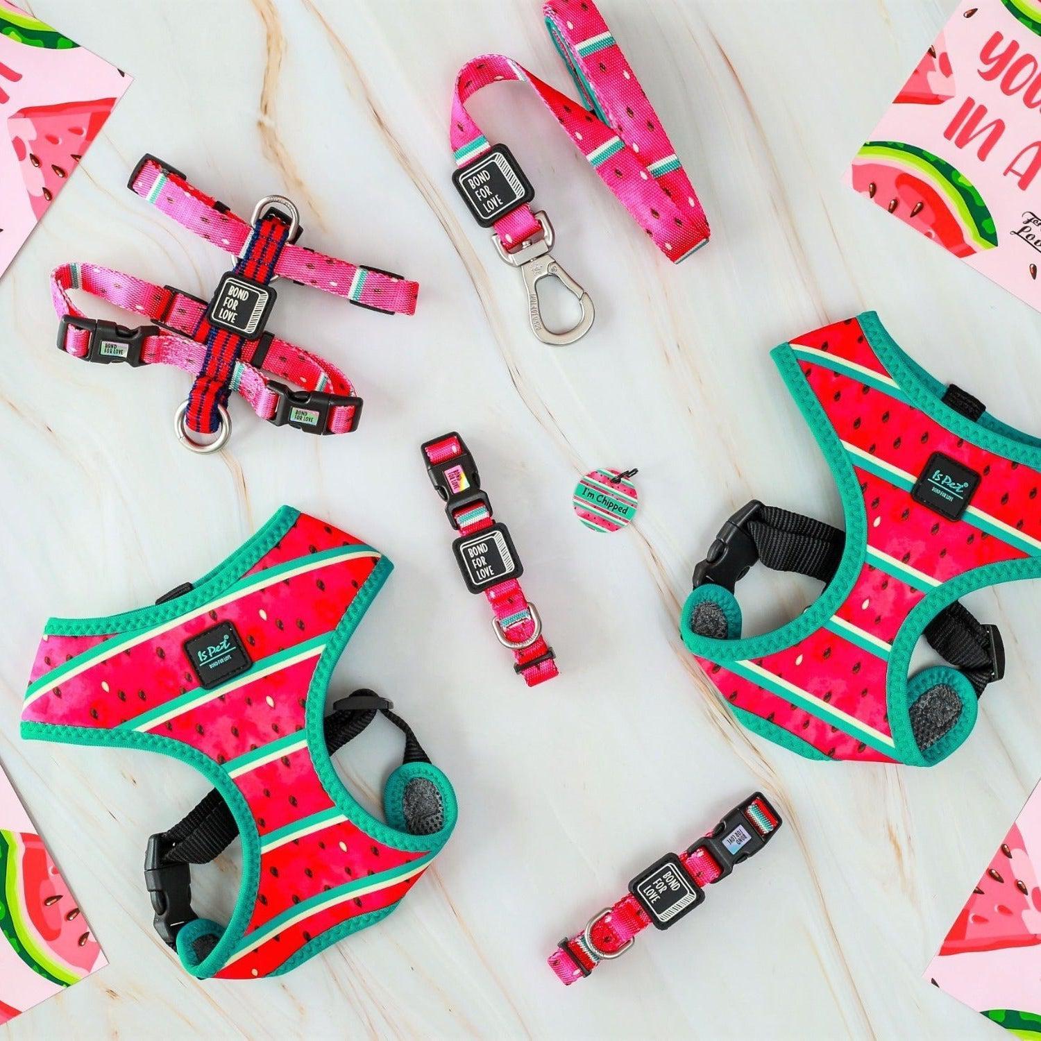 Watermelon Collection-For Dog Lovers