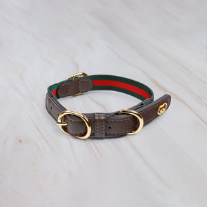 Premium Dog Collar