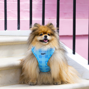 Adjustable Dog Harness Blue Skies