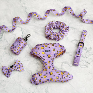 Adjustable Dog Harness Don't Worry, Bee Happy