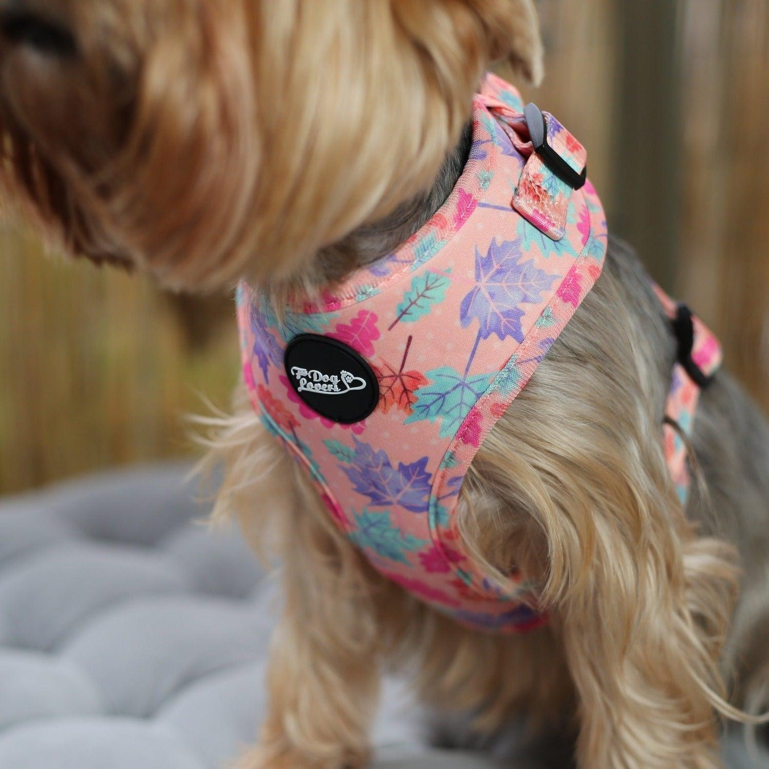 Adjustable Dog Harness Fall In Love