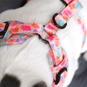 Adjustable Dog Harness Fall In Love