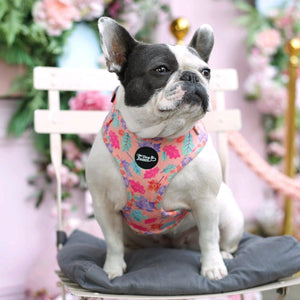 Adjustable Dog Harness Fall In Love