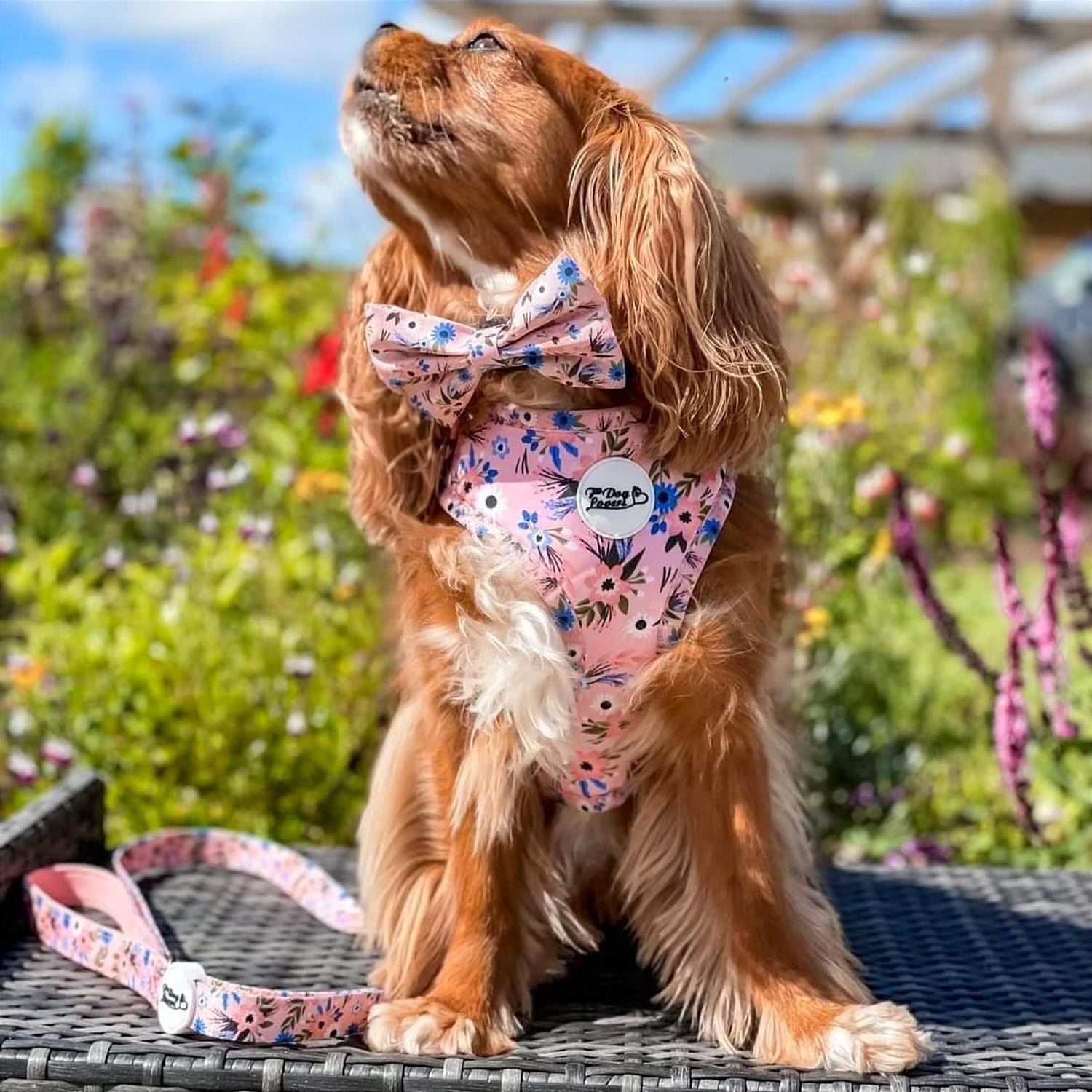 Adjustable Dog Harness Flower Child