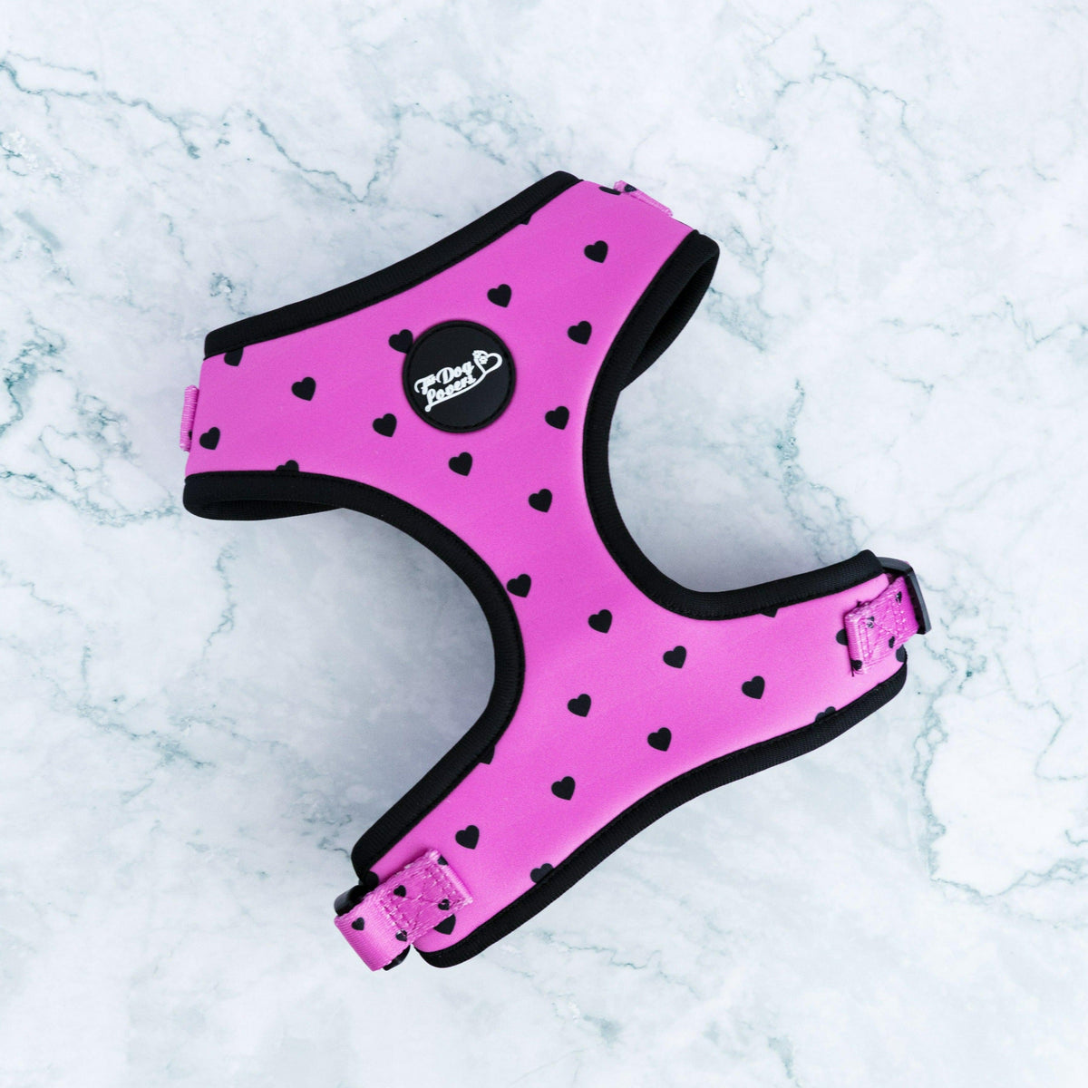 Adjustable Dog Harness Follow Your Heart