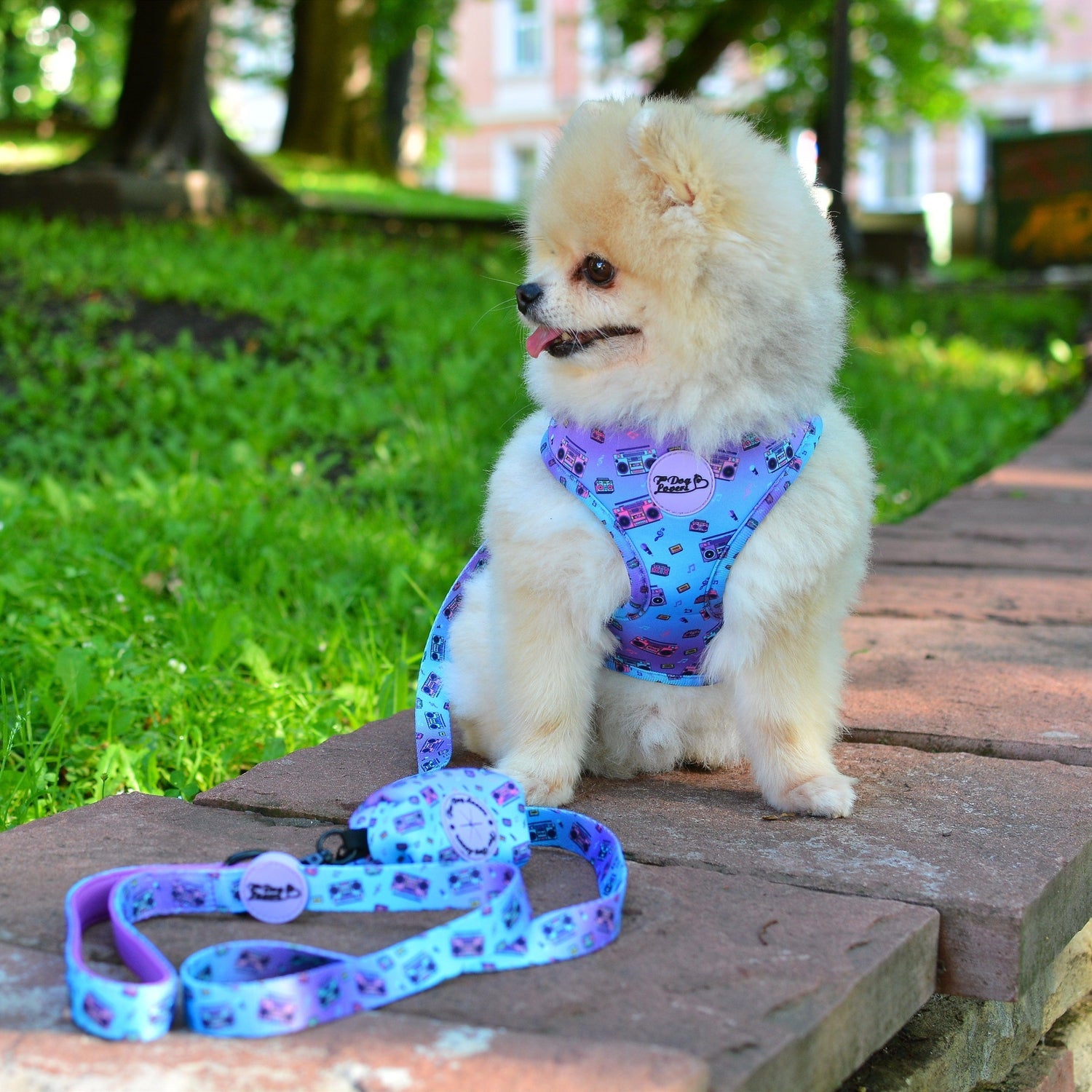 Adjustable Dog Harness Groove Is In The Heart