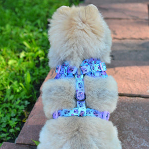 Adjustable Dog Harness Groove Is In The Heart