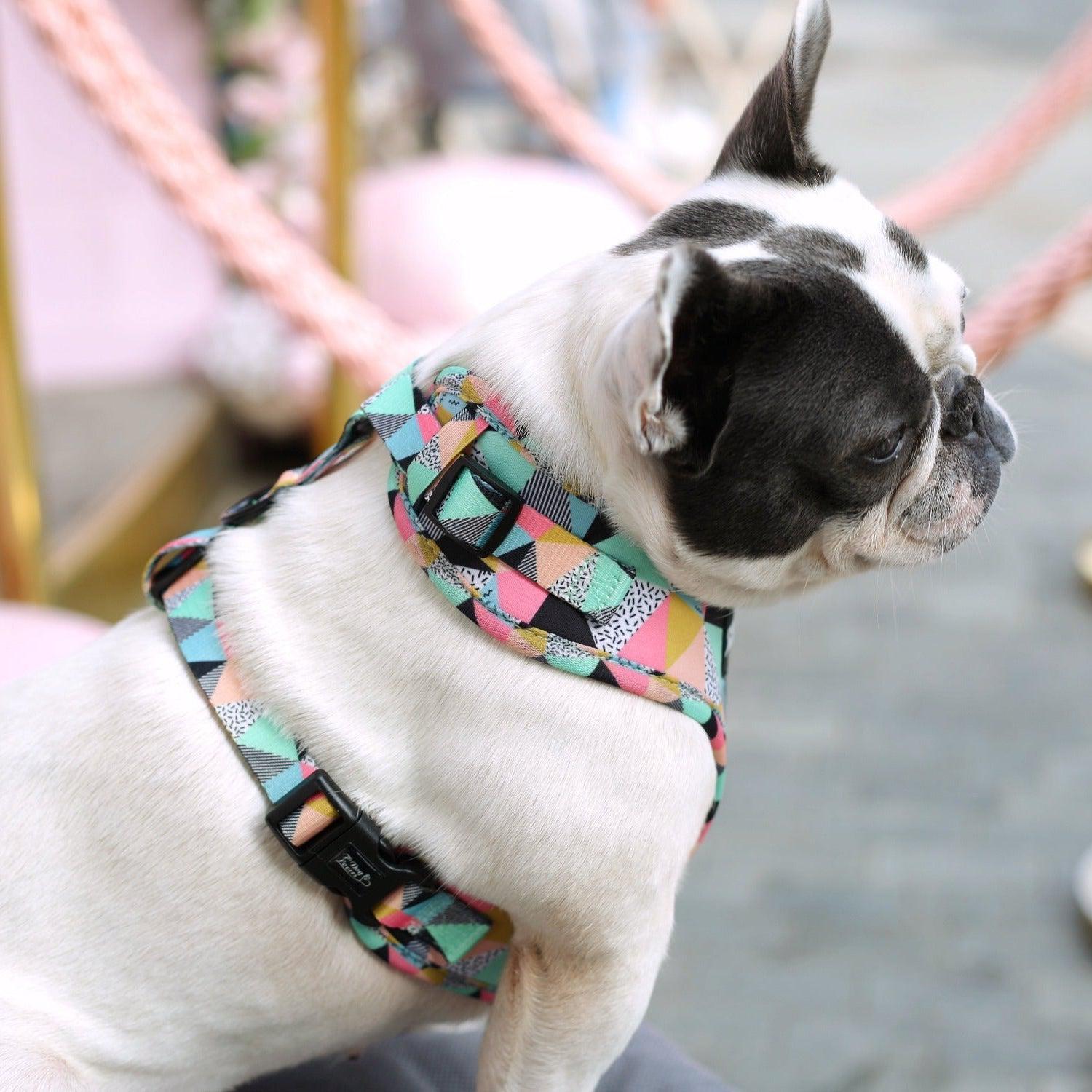 Adjustable Dog Harness - Mykonos