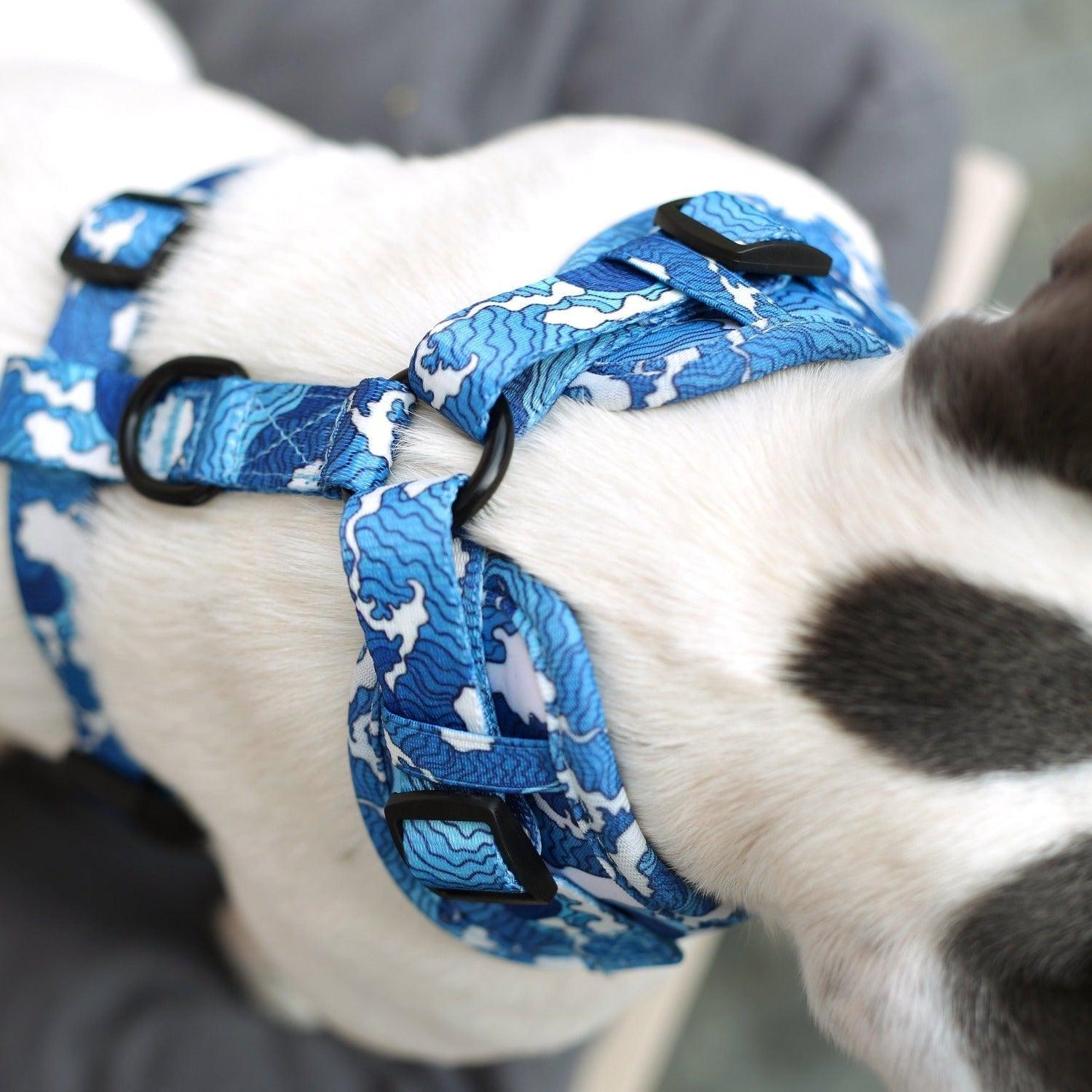 Ocean Adventures Dog Walking  Five Piece Set
