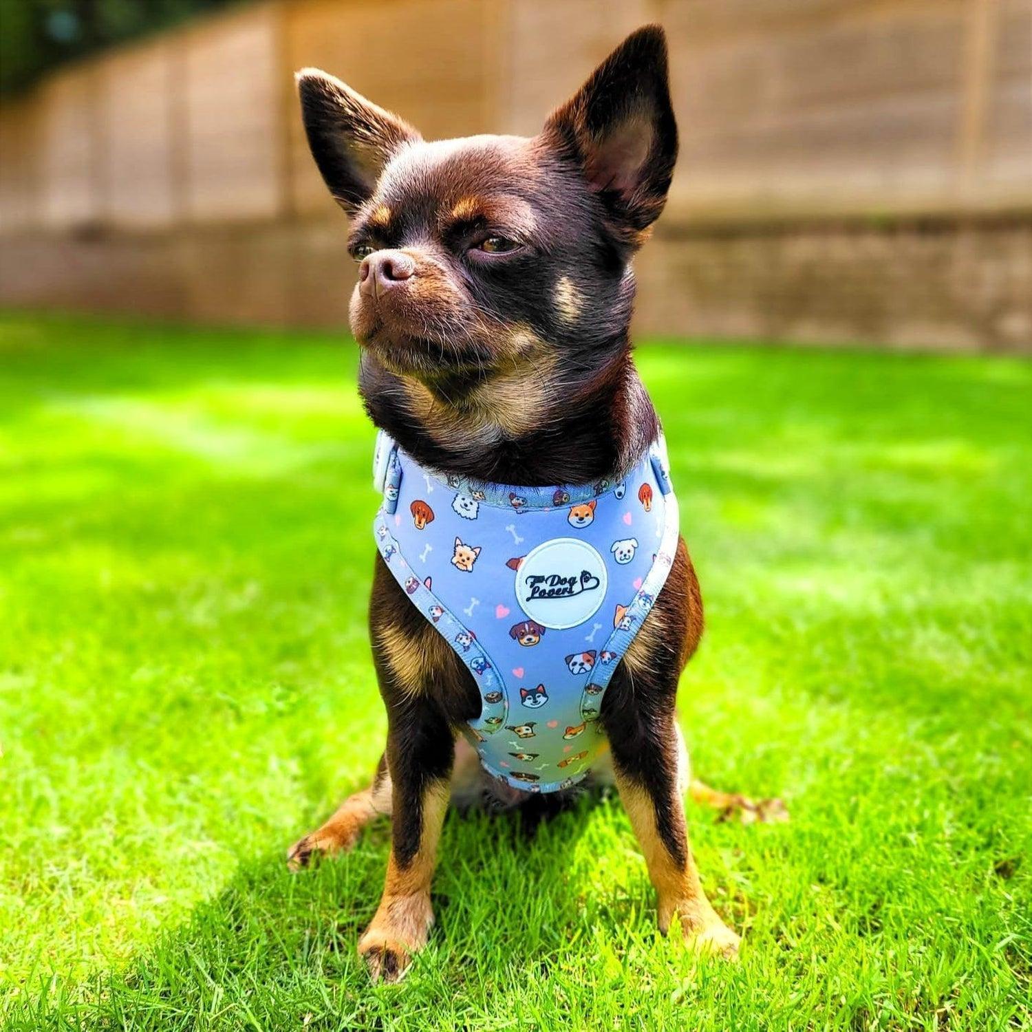 Adjustable Dog Harness Oh My Pup