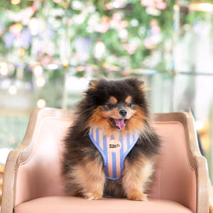 Adjustable Dog Harness Smooth Operator