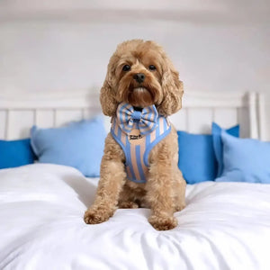 Adjustable Dog Harness Smooth Operator