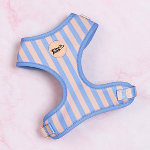 Adjustable Dog Harness Smooth Operator