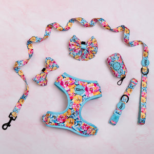 Adjustable Dog Harness Where Flowers Bloom