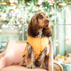 Après Ski Parka Vest Dog Jacket