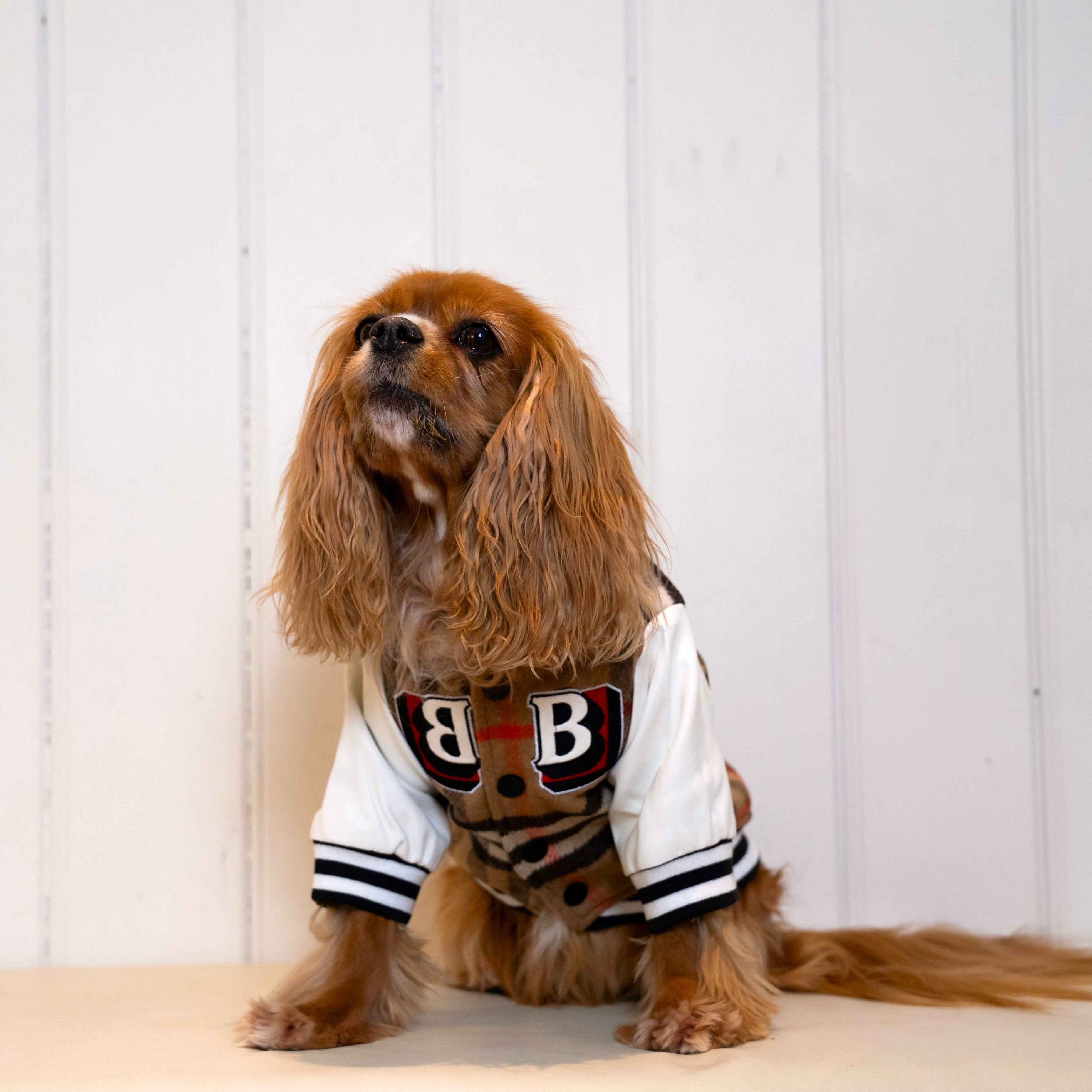 Baseball Star Leather Dog Jacket Coat