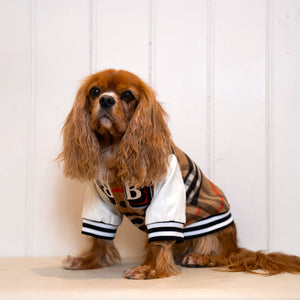 Baseball Star Leather Dog Jacket Coat