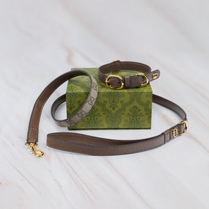 Brown leather dog collar & lead set