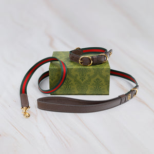 Luxury Dog Collar & Lead 