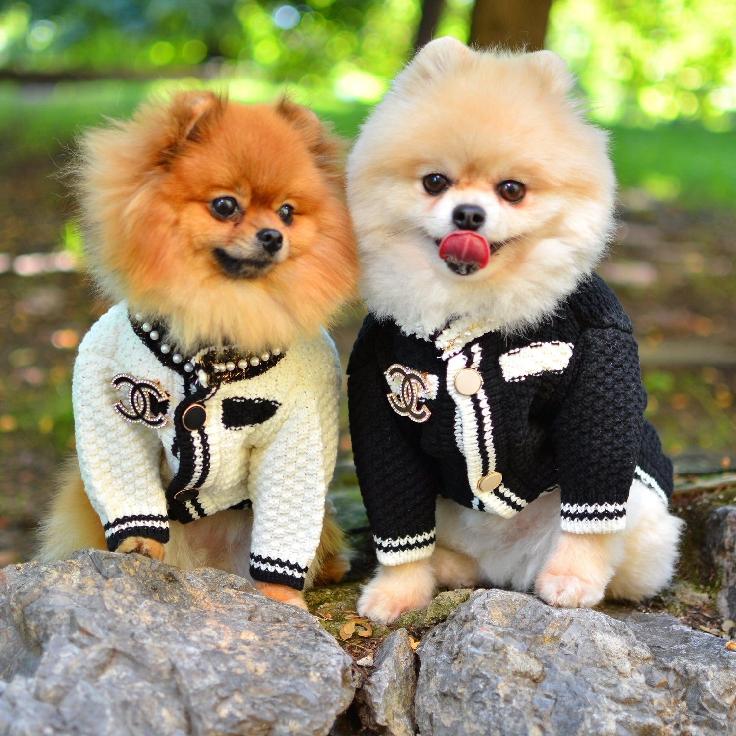 Coco Designer Dog Sweater Cardigan