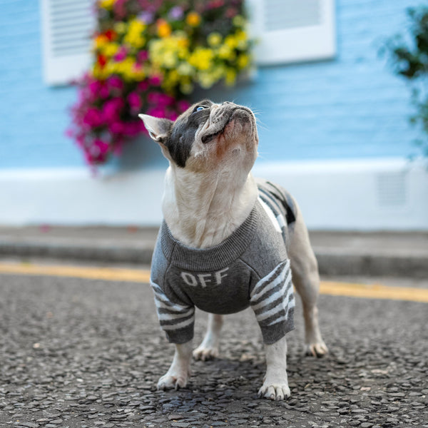 Crew Neck Wool Dog Jumper Double Layered Grey Dog Sweater