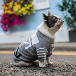 Crew Neck Wool Dog Jumper