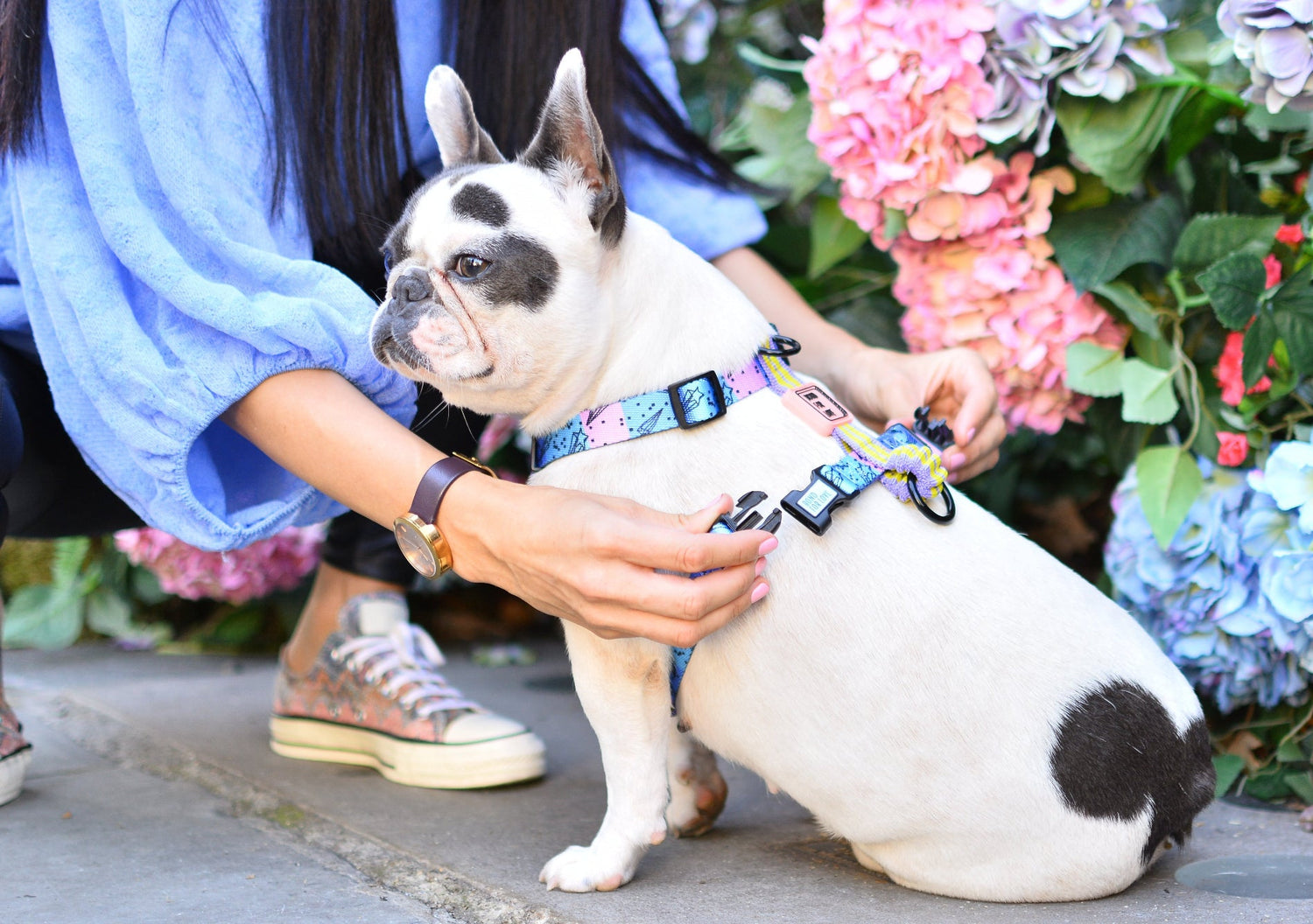 Our Passion, Your Pup’s Perfect Look!