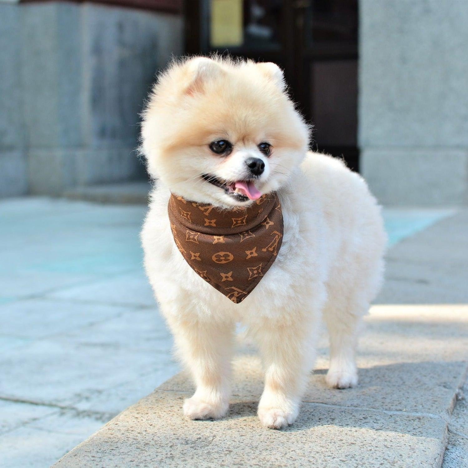 Dog Bandanas Dog With Scarf Dog Bandana Red Buffalo, Cape Pom Pom