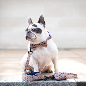 Dog Bow Tie Fashion Icon