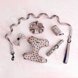 Dog Lead - Fashion Icon