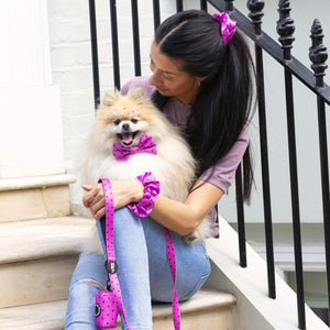 Dog Lead - Follow Your Heart