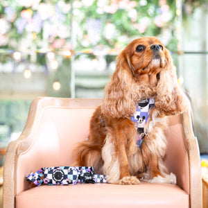 Dog Poo Bag & Treat Dog Holder A Little Bit of Magic