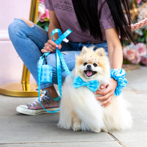 Dog Poo Bag & Treat Holder - Blue Skies