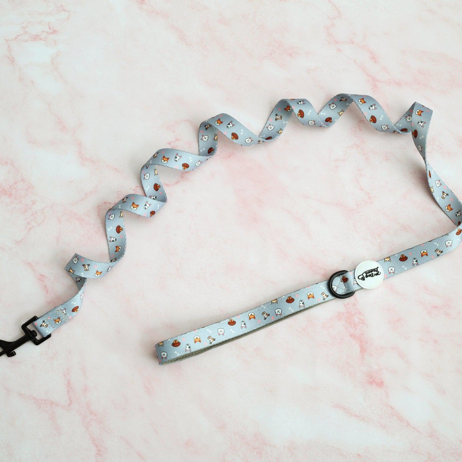 Dog Walking Five Piece Set Oh My Pup Limited Edition