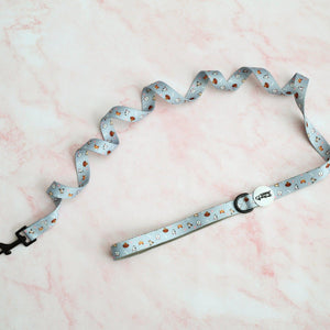 Dog Walking Five Piece Set Oh My Pup Limited Edition