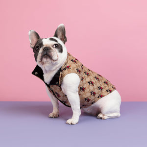 Dreams Of Mickey Designer Dog Vest Jacket