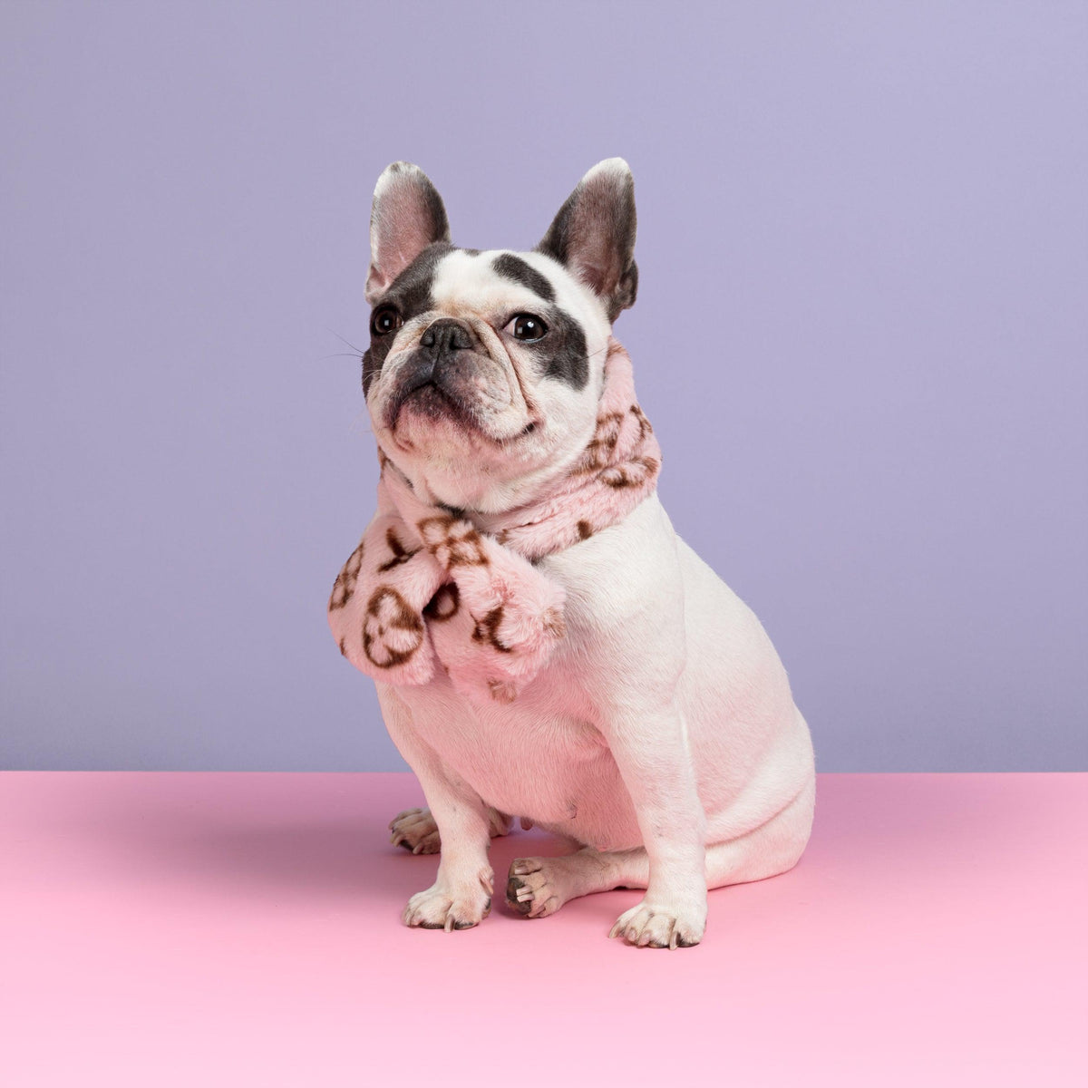 Faux Fur Designer Dog Scarf