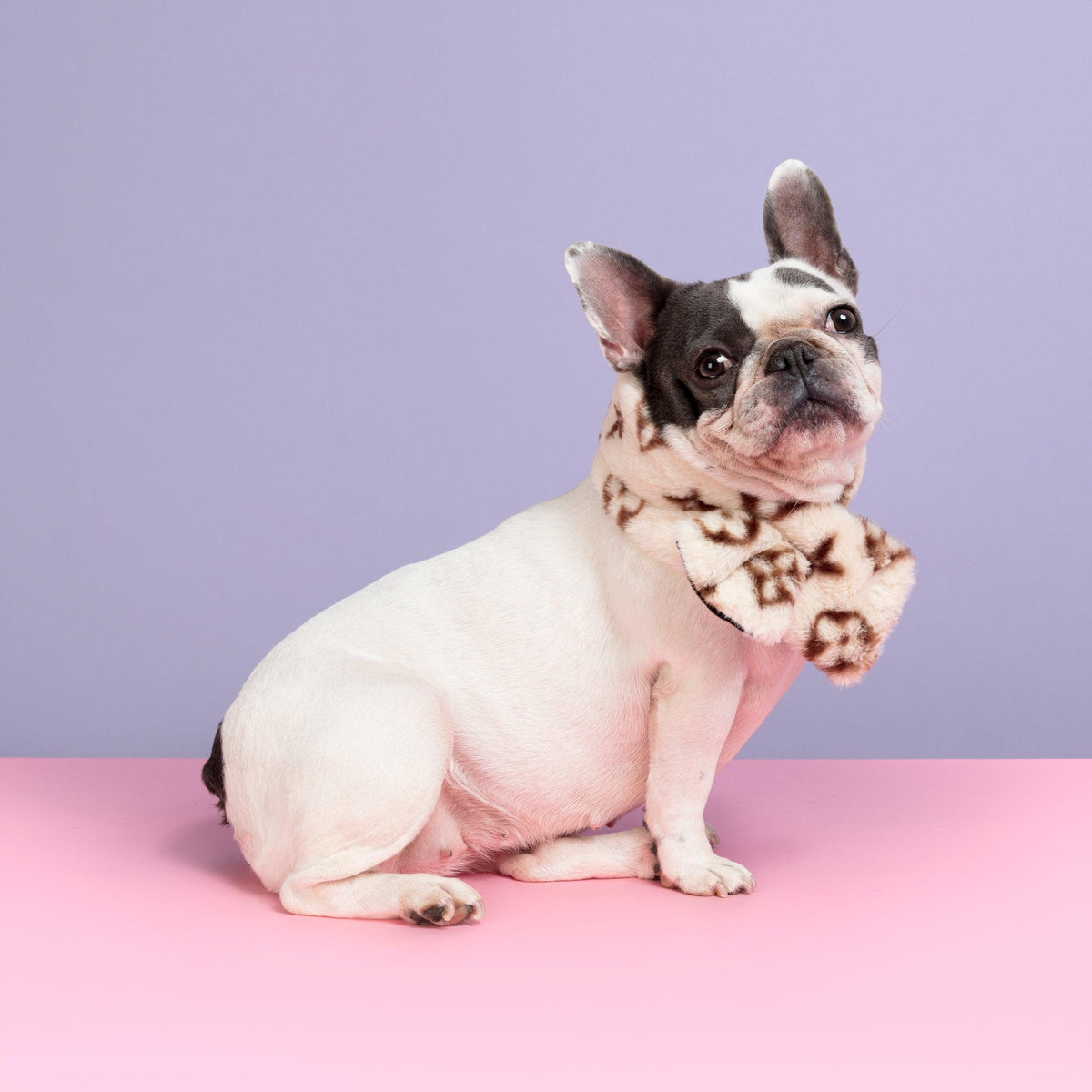 Faux Fur Designer Dog Scarf