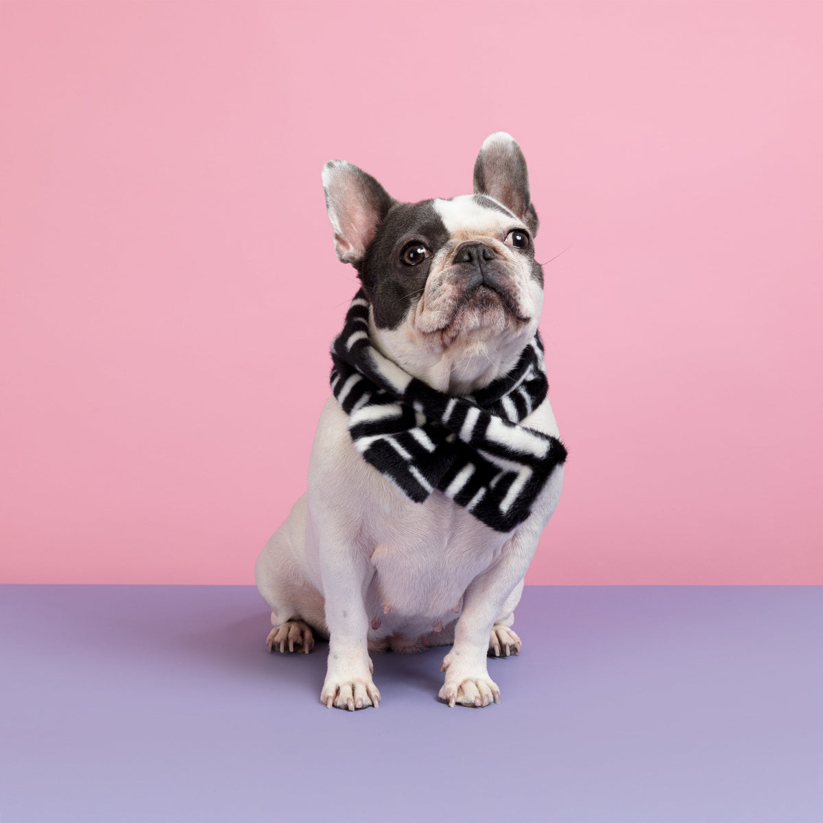 Faux Fur Designer Dog Scarf
