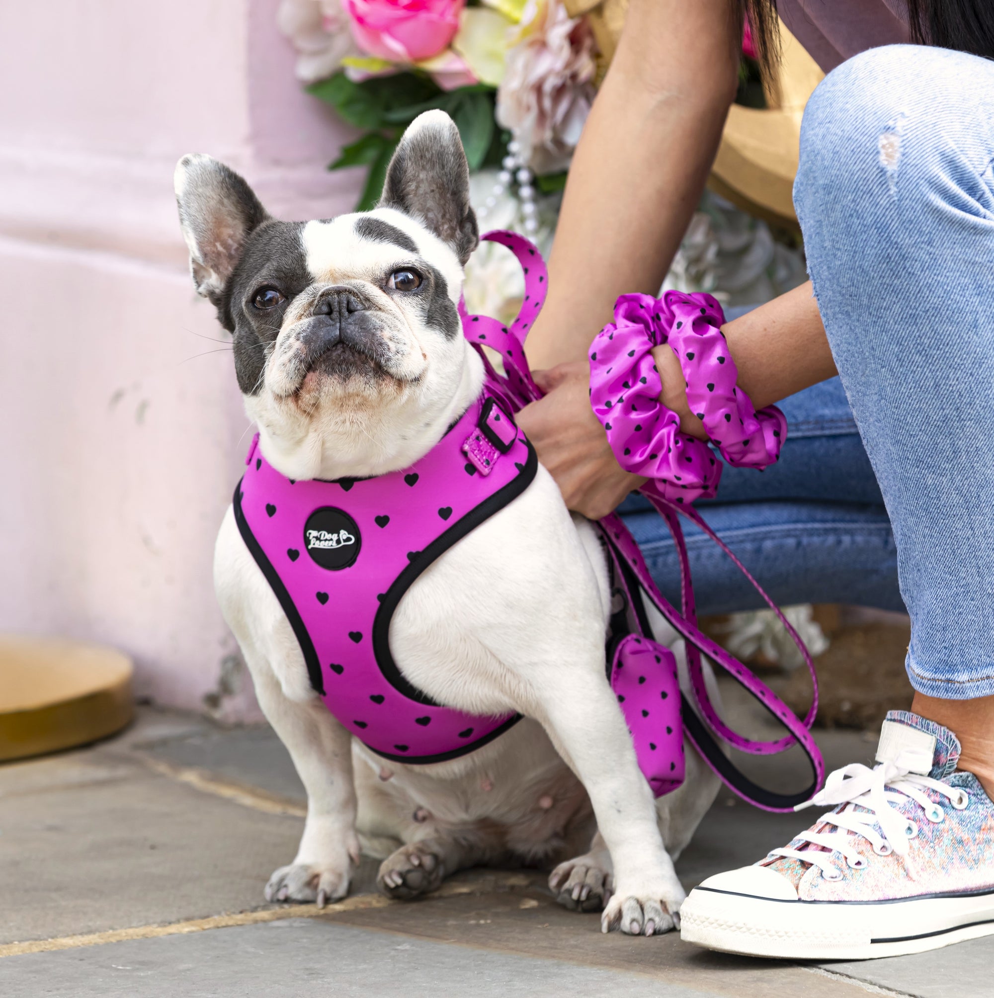 Follow Your Heart Dog Walking Five Piece Set