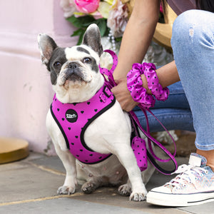 Follow Your Heart Dog Walking Five Piece Set