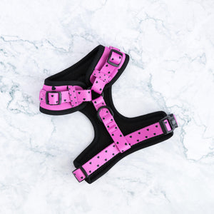 Follow Your Heart Dog Walking Five Piece Set