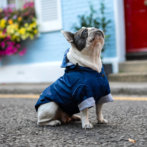 Joules Coast Dog Raincoat