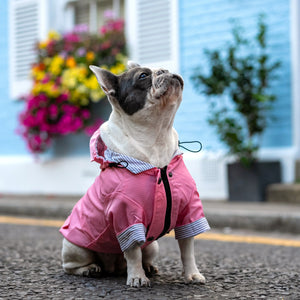 Joules Coast Dog Raincoat