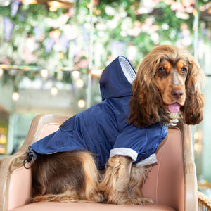 Joules Coast Dog Raincoat