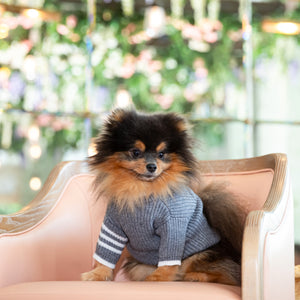 Le Petit Chien Cable Knit Dog Sweater